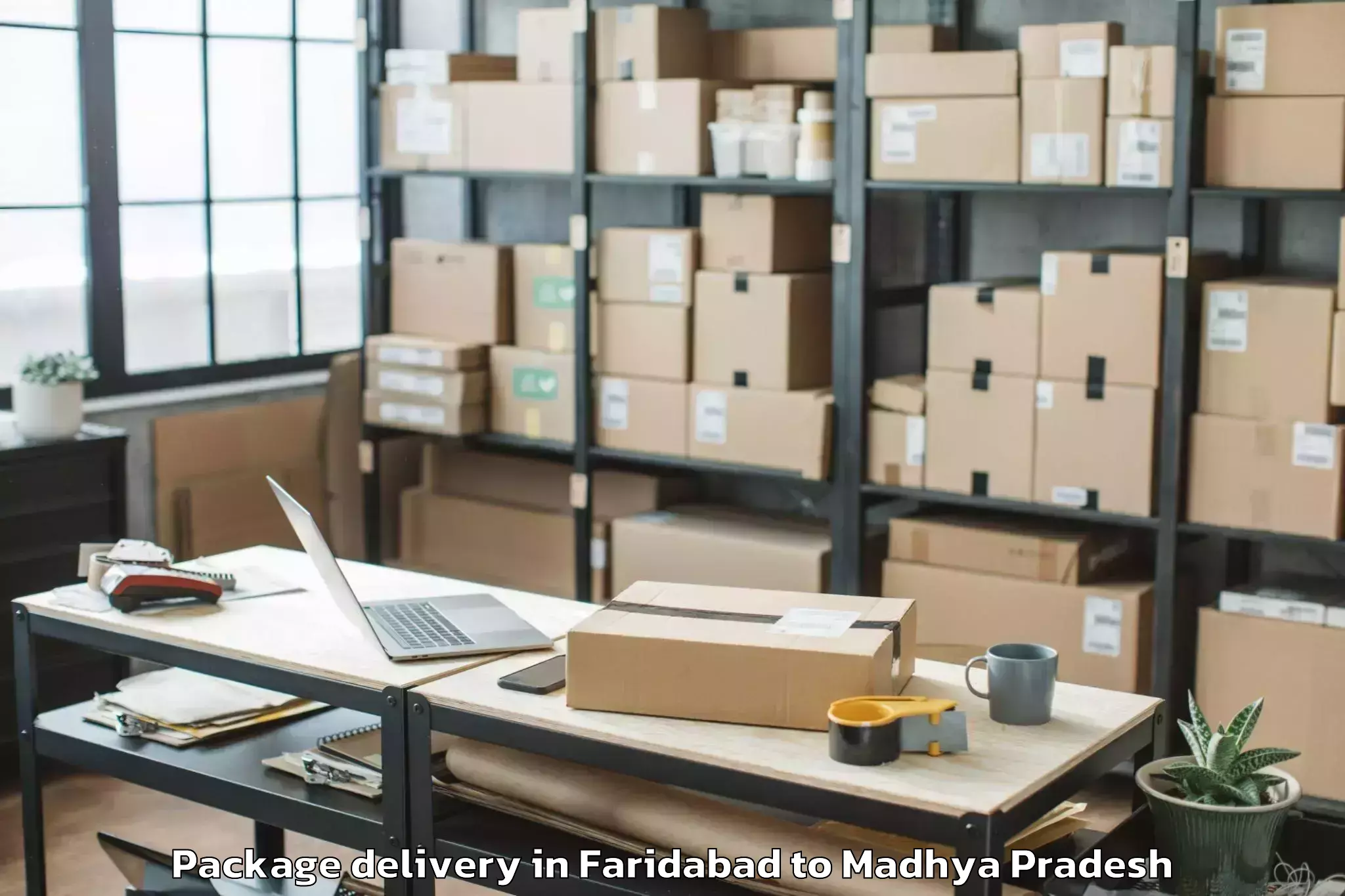 Easy Faridabad to Jabera Package Delivery Booking